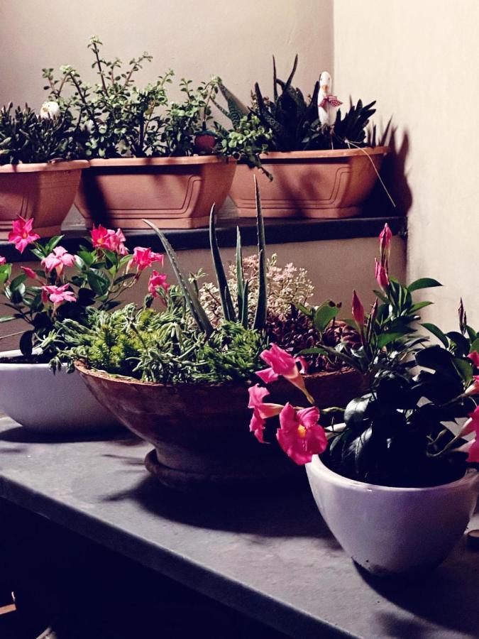 Borgo Antico B&B Foggia Luaran gambar